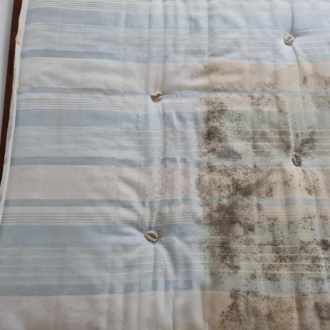 mattress cleaned before/after